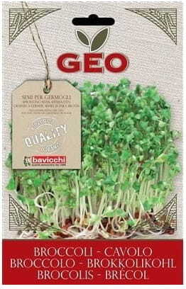 Graines pour la germination du brocoli BIO 13 g GEO