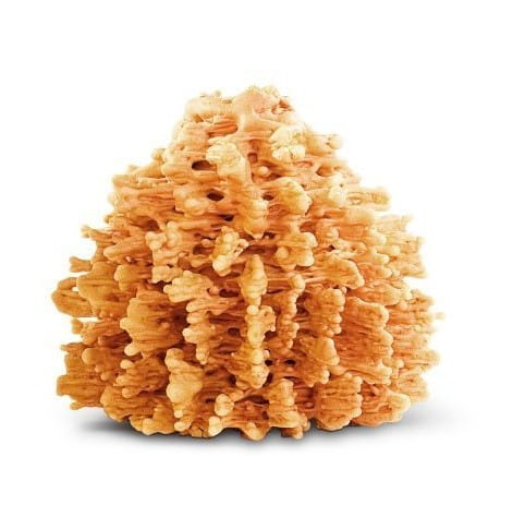 Sękacz Podlaski BIO 250 g - CONFISERIE ZANIEWICZ