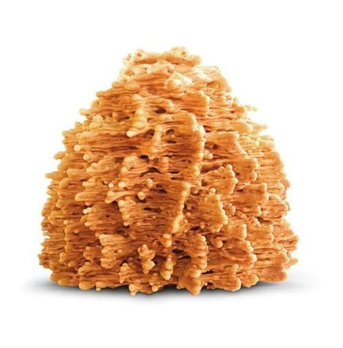 Sękacz Podlaski BIO 500 g - CONFISERIE ZANIEWICZ