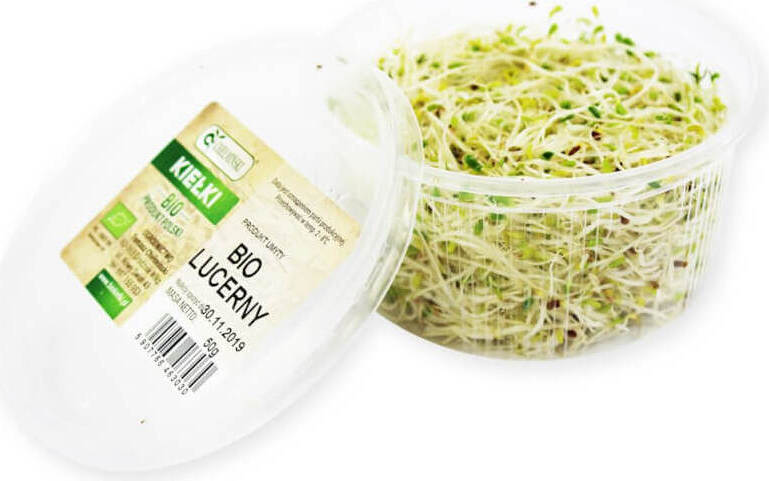 Germes de luzerne frais BIO (environ 50 g)