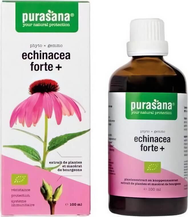 Echinacea FORTE (échinacée pourpre) gouttes BIO 100 ml - PURASANA