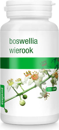 Encens indien en capsules 39 g (120 pièces) - PURASANA