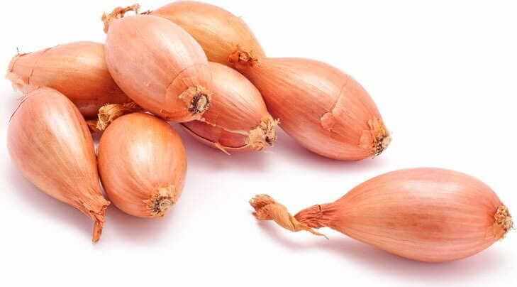 Oignons échalotes frais BIO (Polonais) (environ 250g)