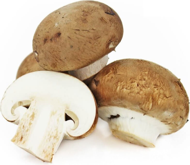 Conditionnement vrac (kg) - Champignons bruns frais BIO (Polonais) (environ 3 kg)