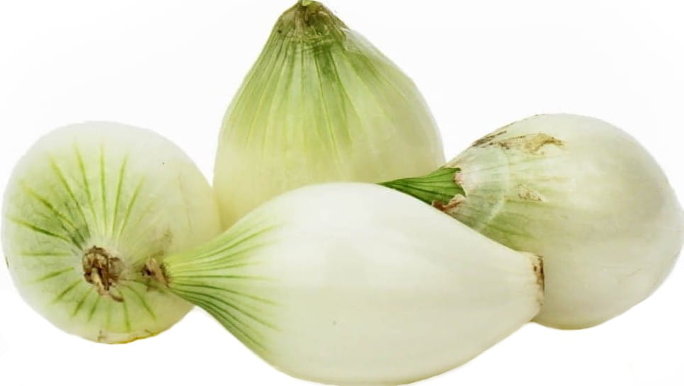 Ail frais Oignon BIO (Polonais) (environ 0,50 kg)