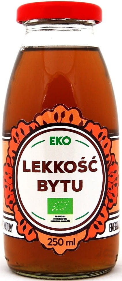 Une boisson légère BIO 250 ml - DONS DE LA NATURE