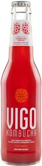 Kombucha schisandre 330 ml VIGO