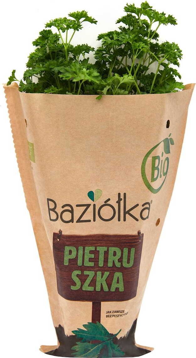 Persil frais en pot BIO (Polonais) (1 pièce)