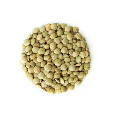 Lentilles vertes BIO (matière première) (25 kg)
