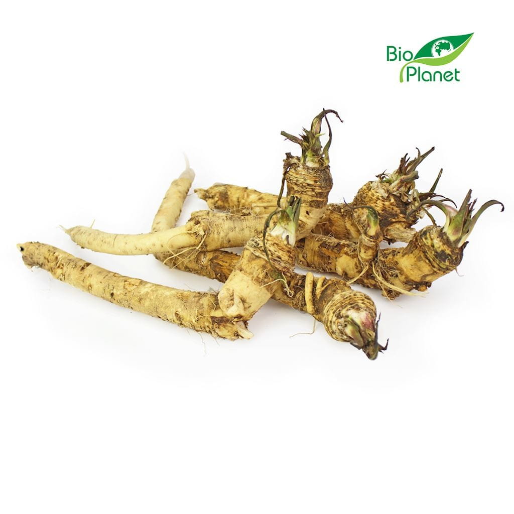 Conditionnement vrac (kg) - raifort frais BIO (polonais) (environ 3 kg)