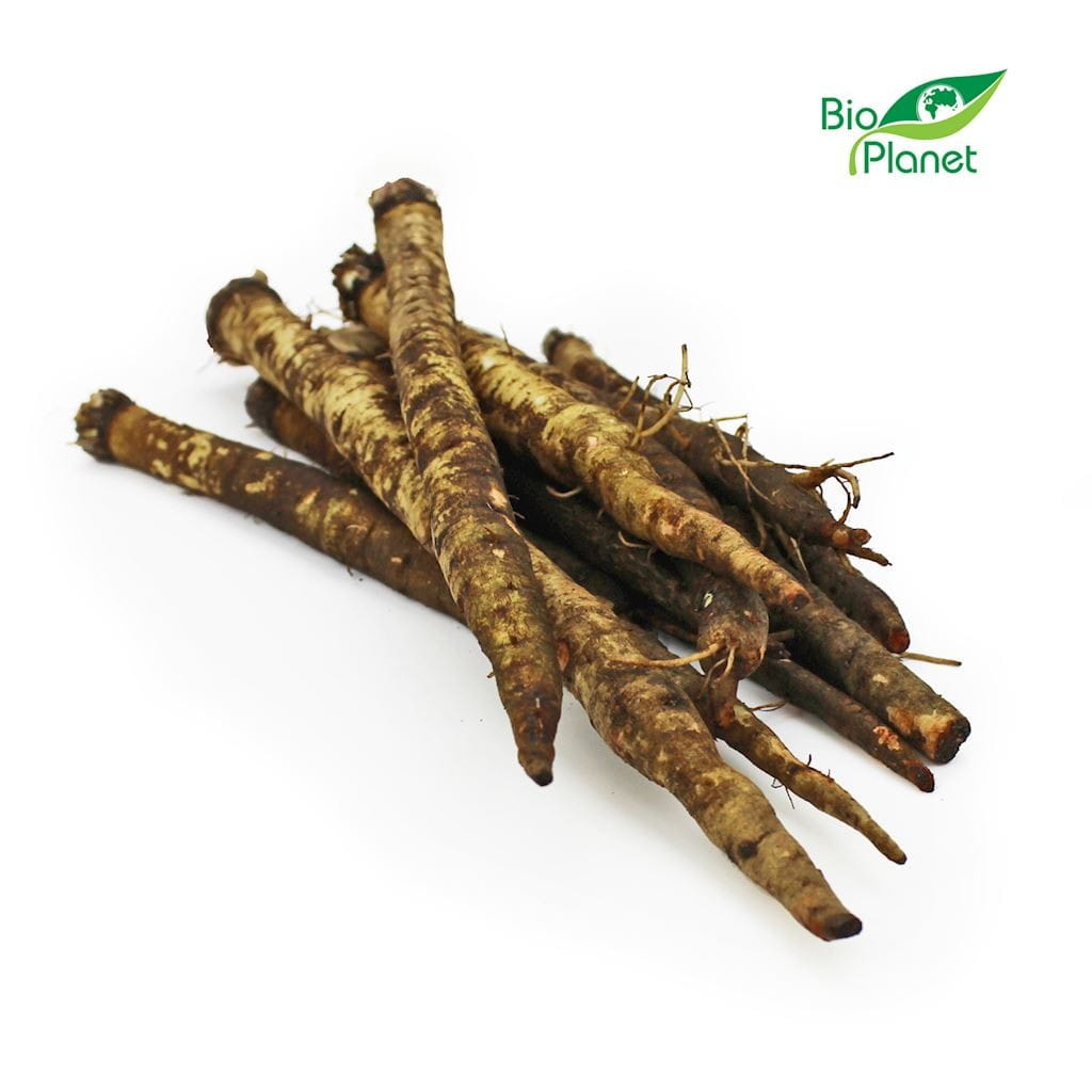 Conditionnement vrac (kg) - scorsonère (serpent) frais BIO (Polonais) (environ 3 kg)