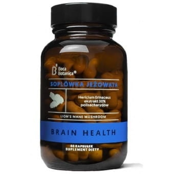 Extrait de crinière de lion 30% 60 gélules BOCA BOTANICA