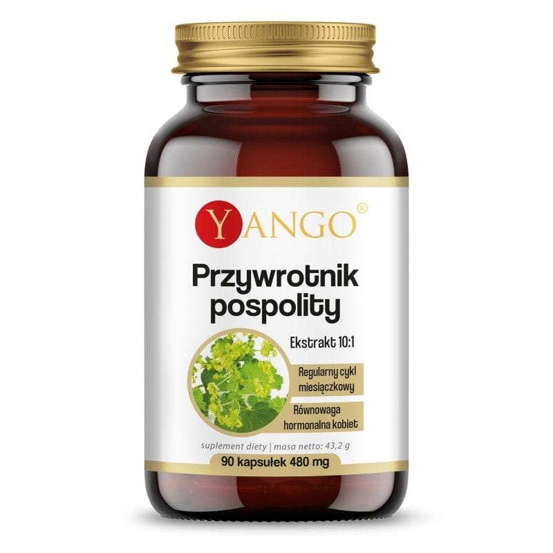Armoise 90 gélules YANGO