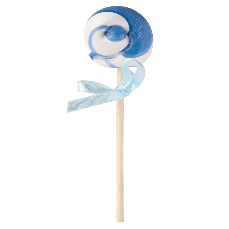 Sucette saveur myrtille sans sucre 20g