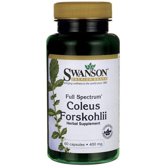 Ortie indienne forskoline 400mg coleus forskohli 60 gélules de SWANSON