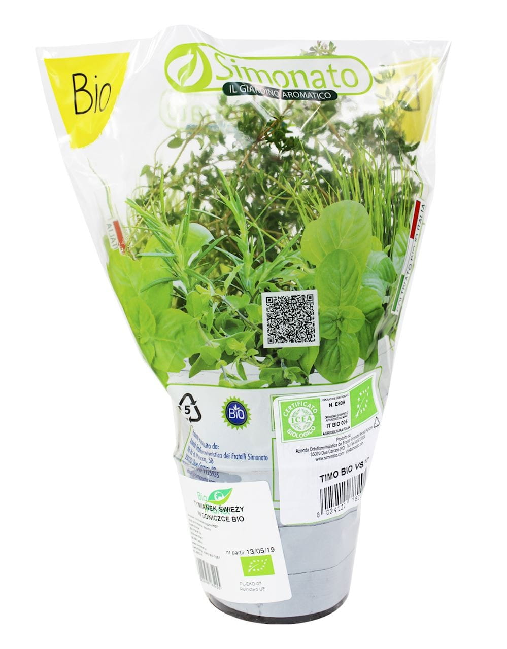 Thym frais en pot BIO (1 pc.)