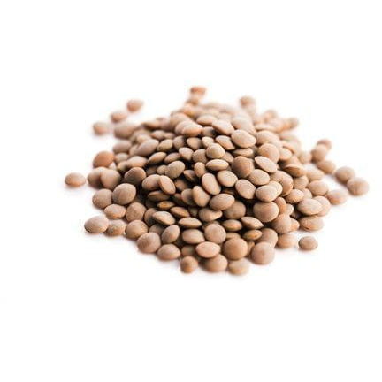 Lentilles brunes BIO (matière première) (25 kg)