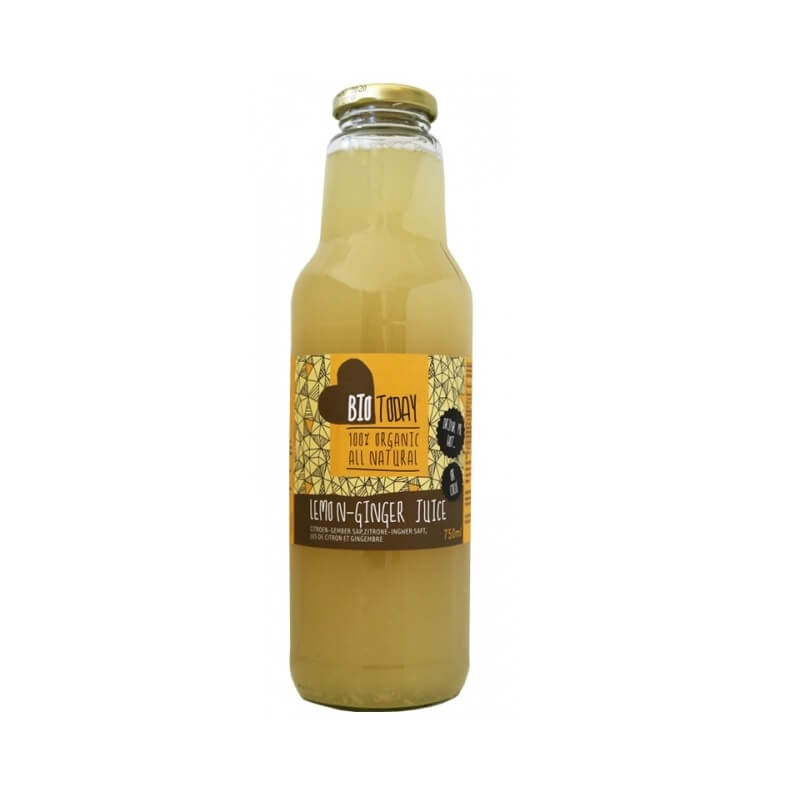 Boisson citron gingembre BIO 750 ml - BIOTODAY