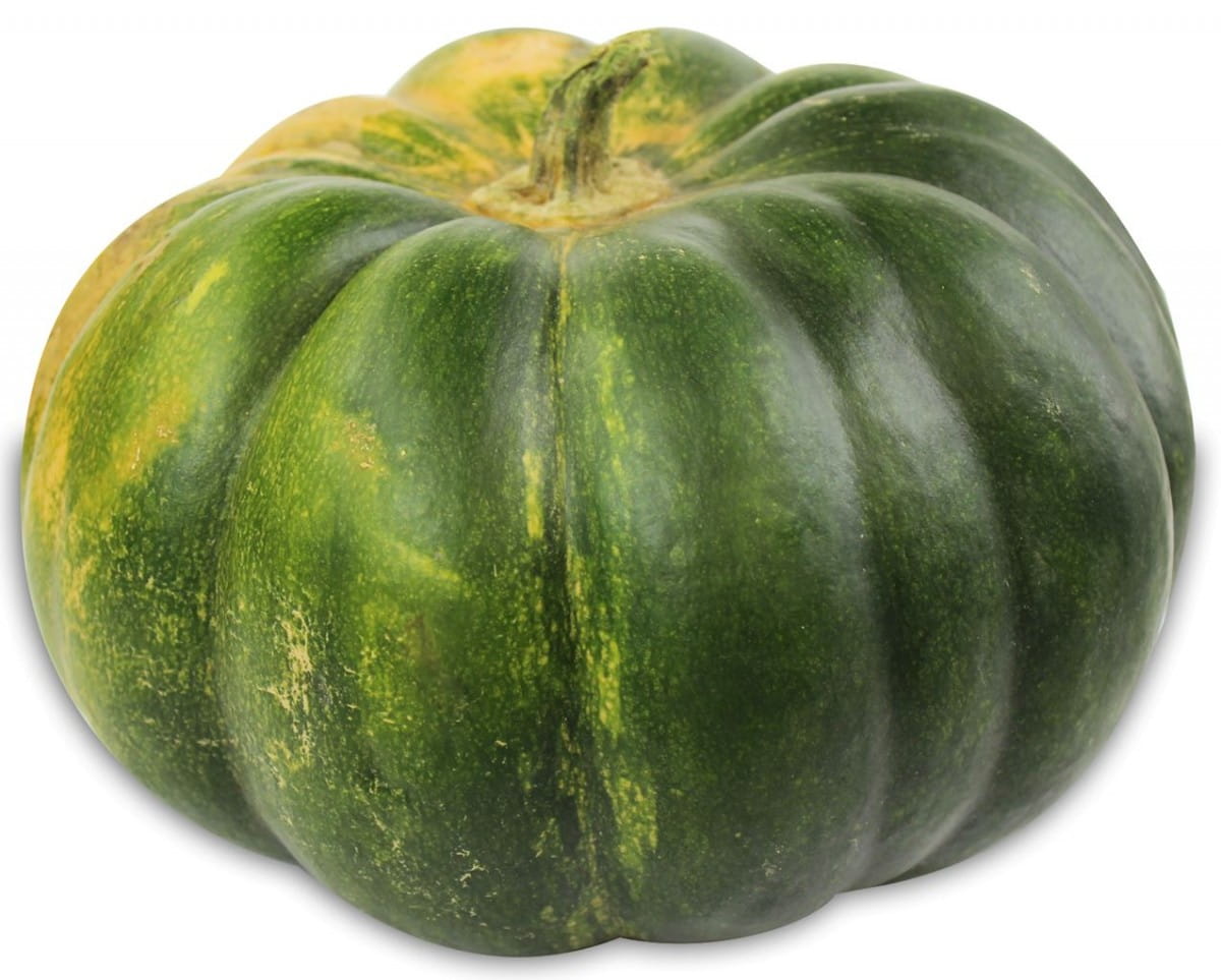 Potiron frais provençal BIO (Polonais) (de 300 à 600 kg)