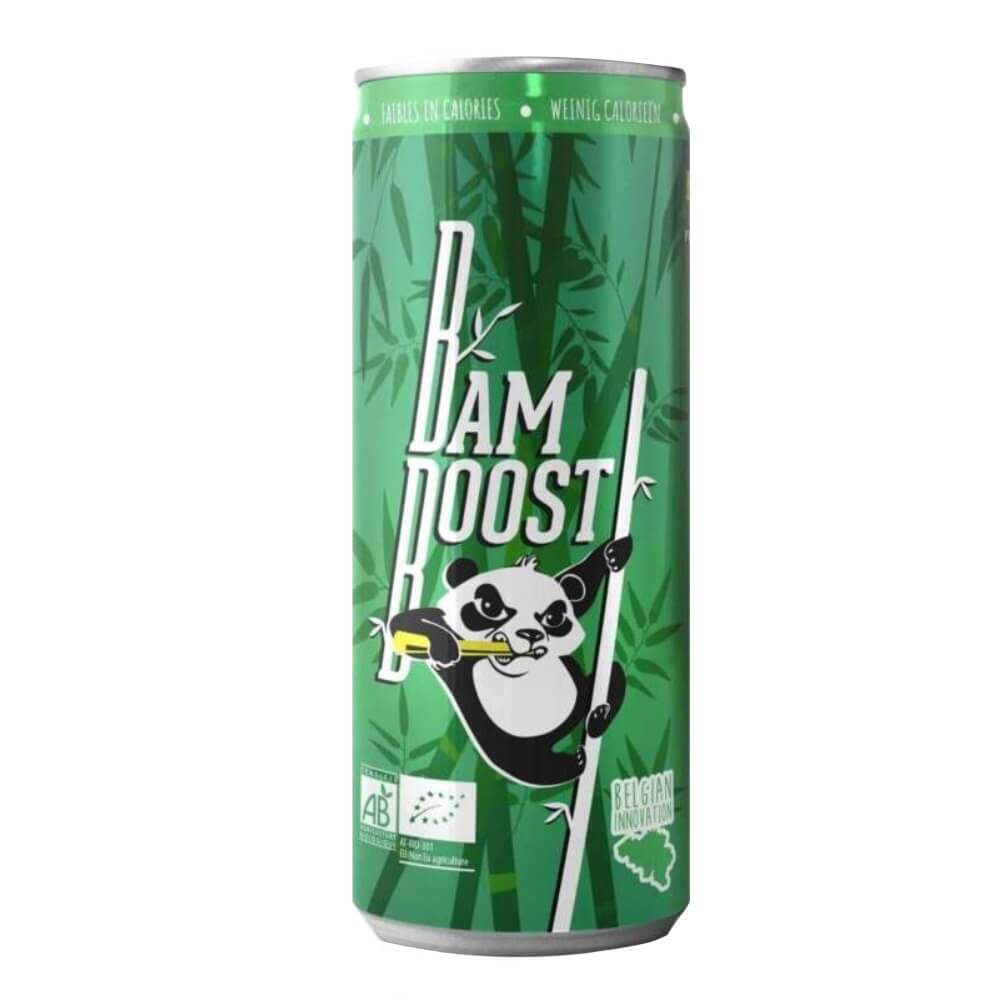 Boisson énergisante gazéifiée BIO 250 ml - WISE