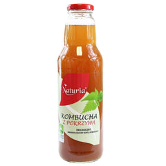 Kombucha à l'ortie BIO 750 ml - NATURIA