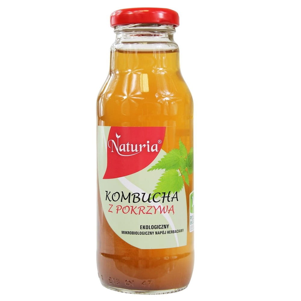 Kombucha à l'ortie BIO 300 ml - NATURIA