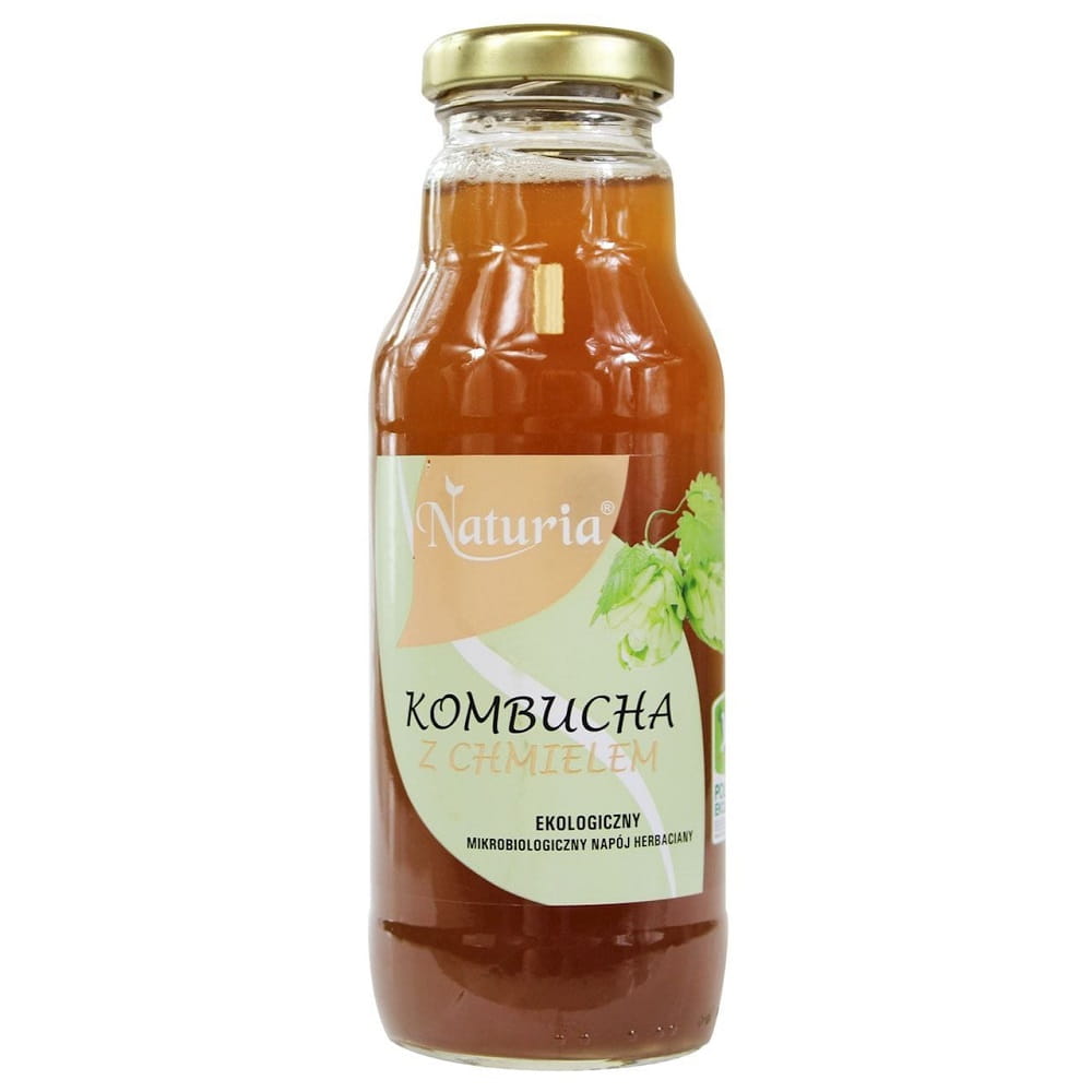 Kombucha au houblon BIO 300 ml - NATURIA