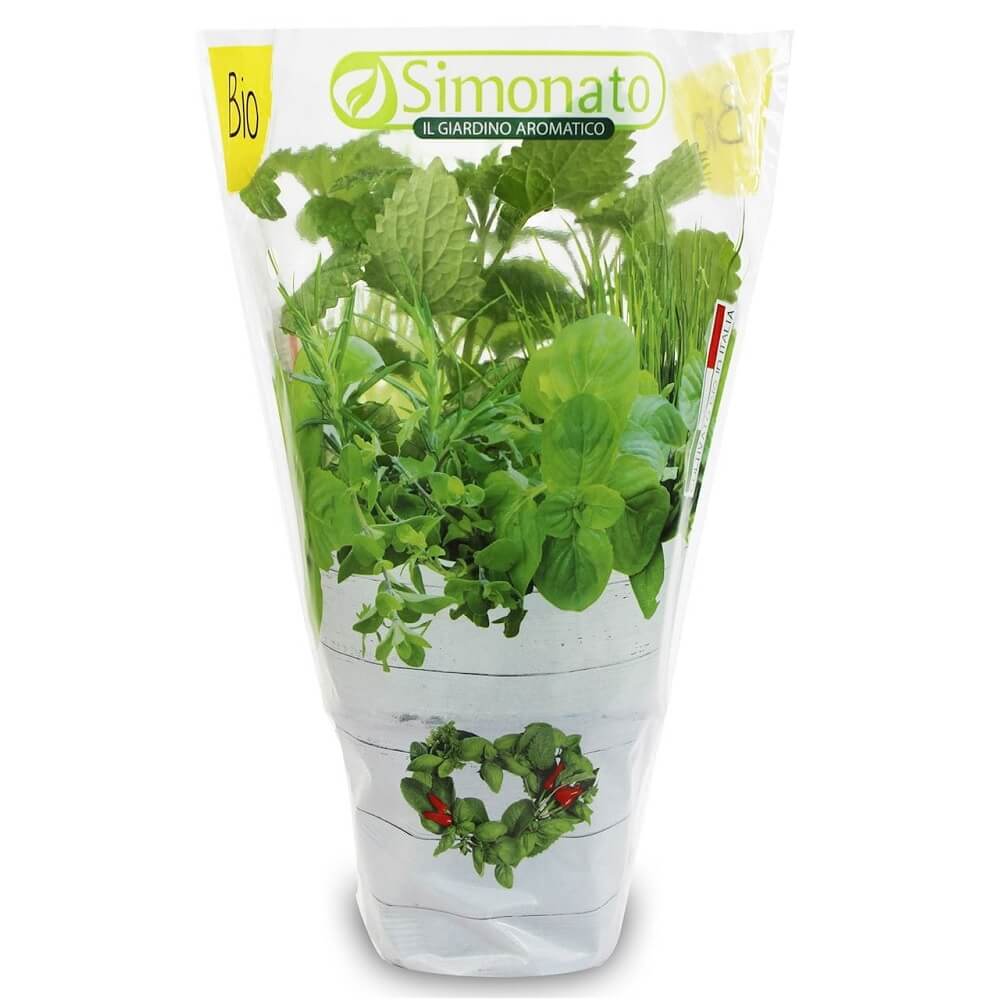 Mélisse fraîche en pot BIO (1 pièce)