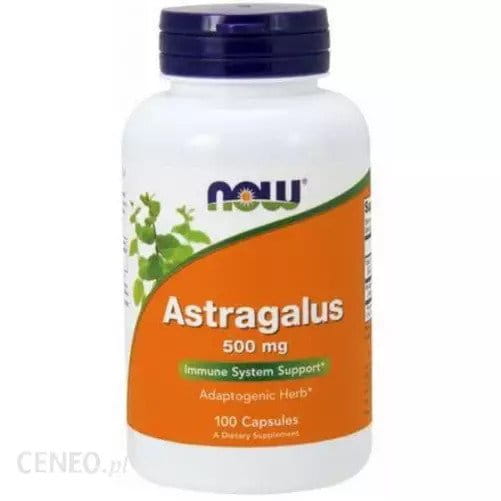 Astragale astragale 500mg 100 gélules NOW FOODS
