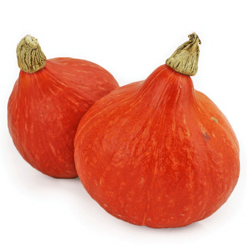 Emballage en vrac (kg) - potiron hokkaido frais BIO (polonais) (environ 10 kg)