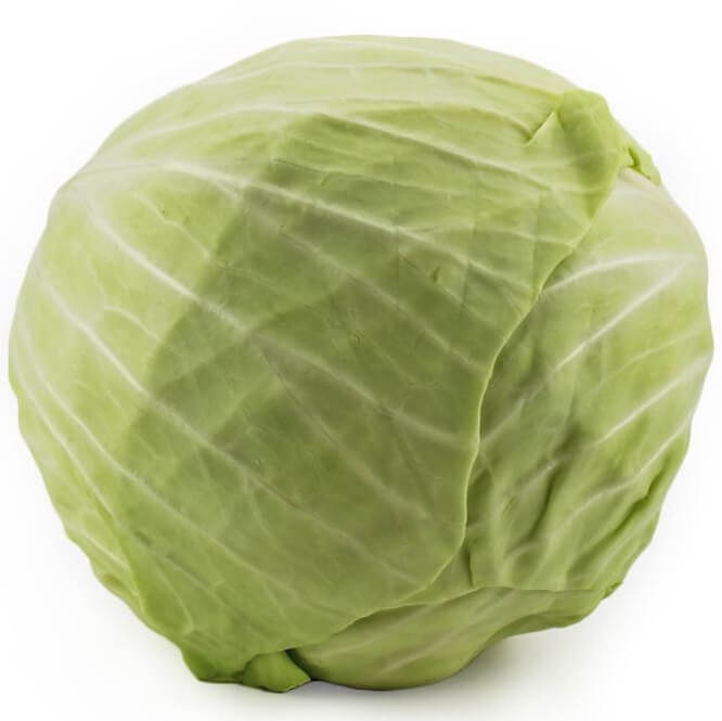 Chou blanc frais BIO (environ 1 kg)