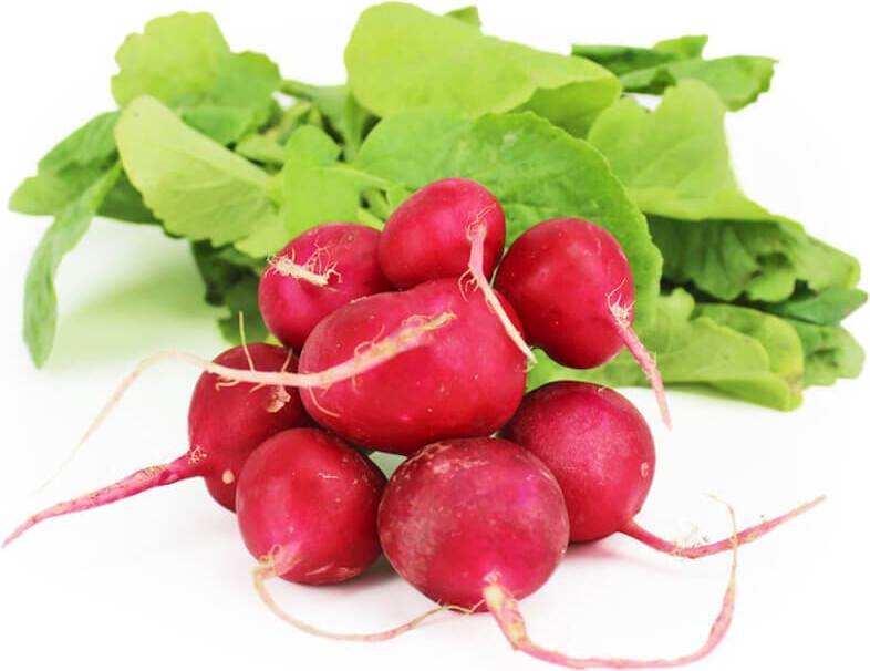 Radis frais BIO (Polonais) (environ 200g)