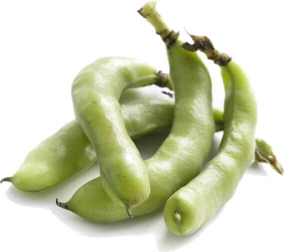 Haricots frais BIO (polonais) (environ 0,50 kg)