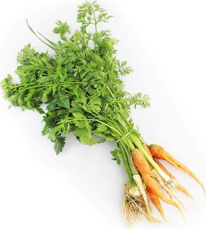 Botte de légumes frais BIO (Polonais) (environ 600 g)
