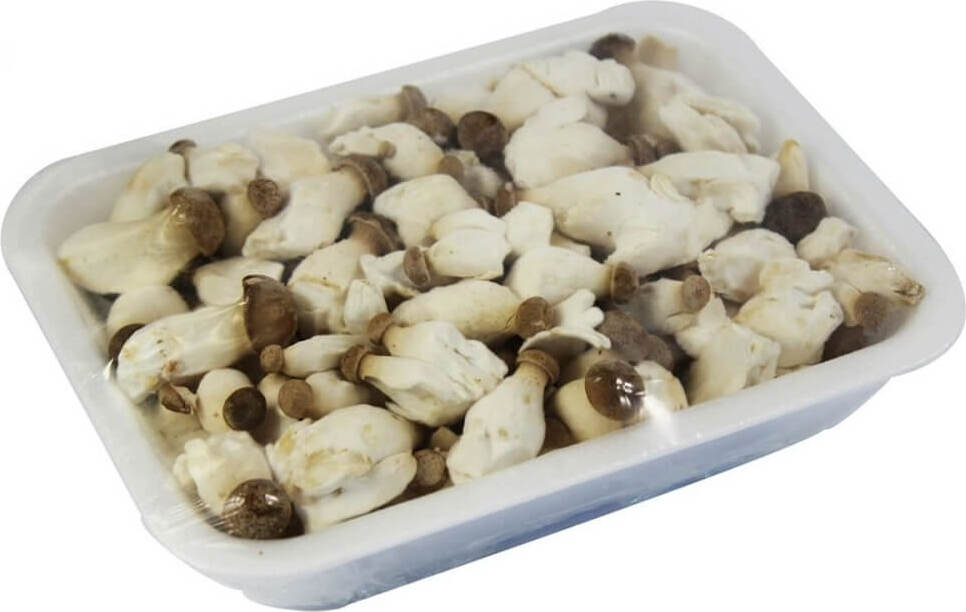 Jeunes champignons eryngii frais (champignon des steppes) BIO (Pologne) (environ 200g)