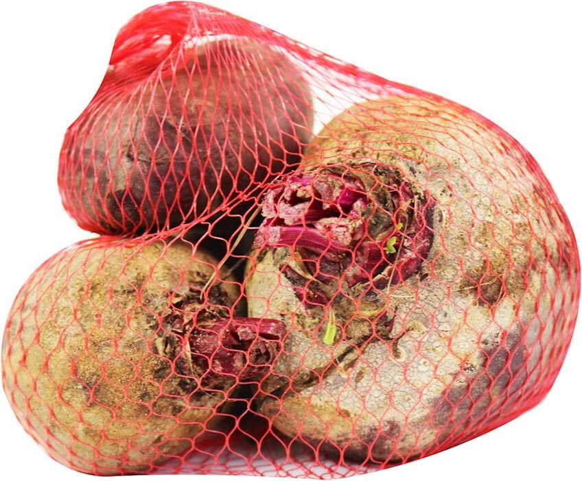 Betterave rouge fraîche BIO (environ 1 kg)