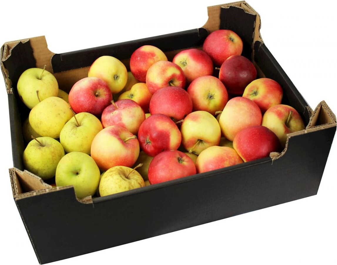 Pommes fraîches à jus (polonais) BIO (environ 500 kg)