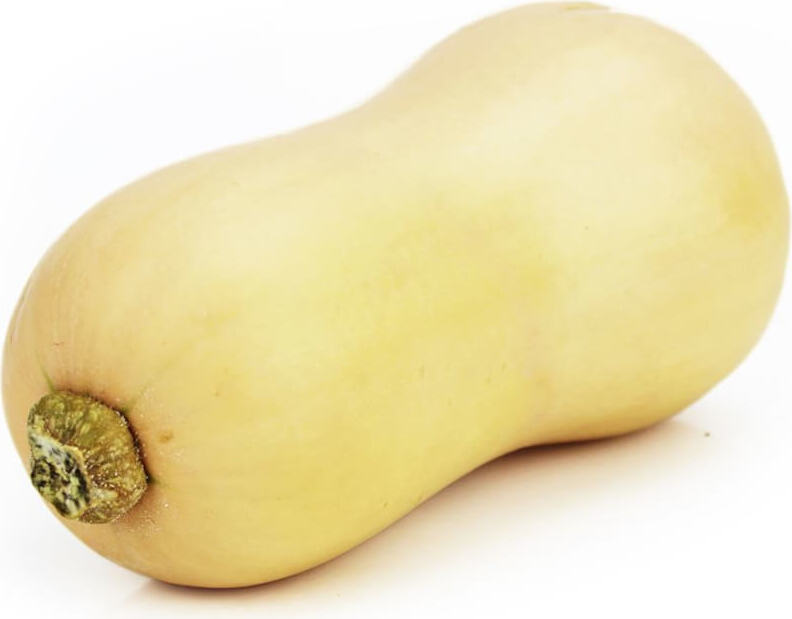 Courge butternut fraîche BIO (environ 1 kg)