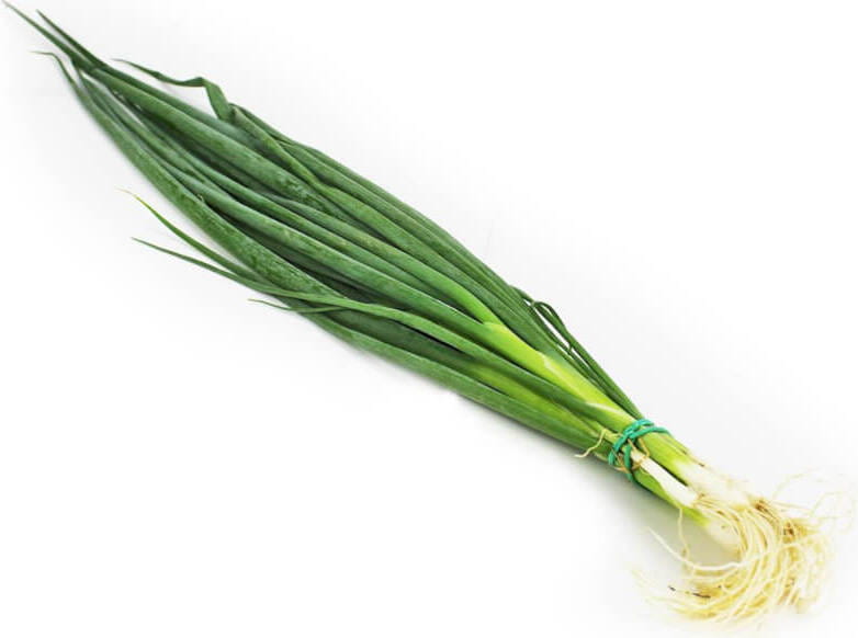 Oignon à la ciboulette BIO (Polonais) (environ 120 g)