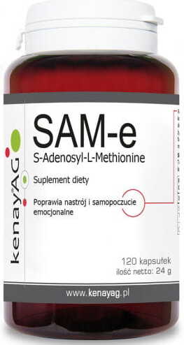 SAM - E s - adénosyl - l - méthionine 120 gélules KENAY