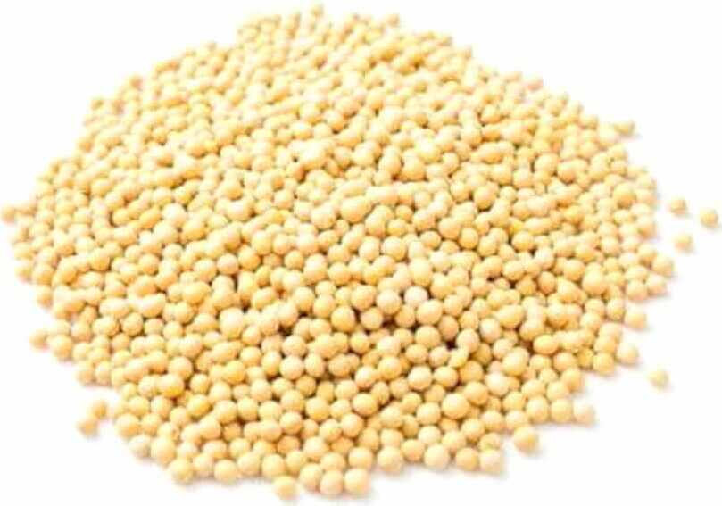 Soja BIO (matière première) (25 kg)