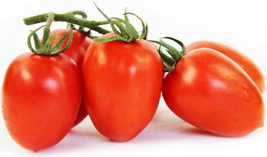 Conditionnement vrac (kg) - Tomates piccadilly sur branche fraîches BIO (environ 3 kg)