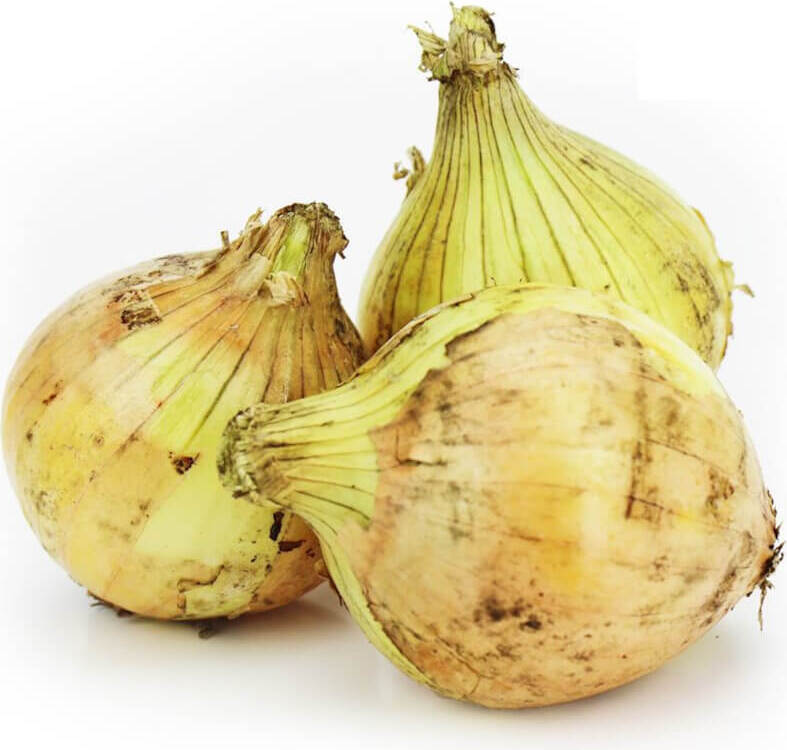 Oignon jaune frais BIO (environ 1 kg)