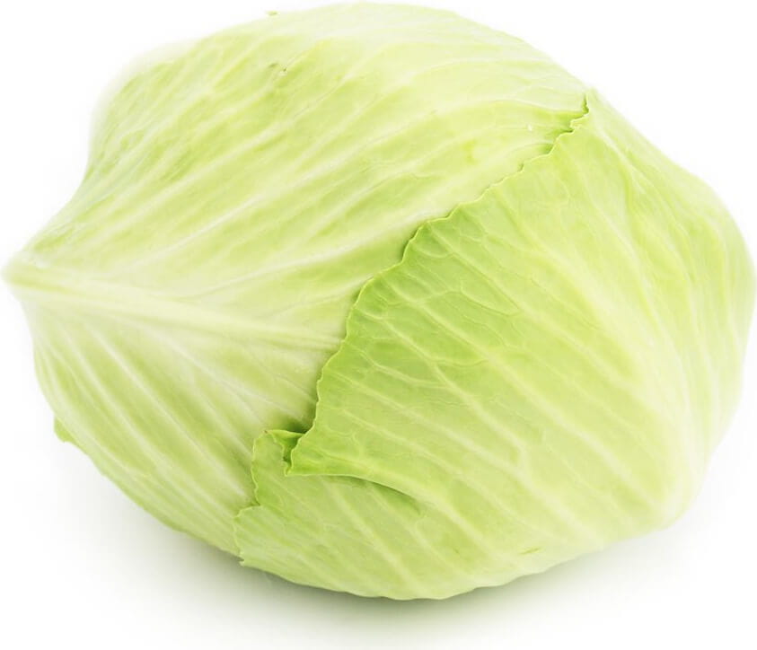 Jeune chou blanc frais BIO (Polonais) (environ 150 kg)