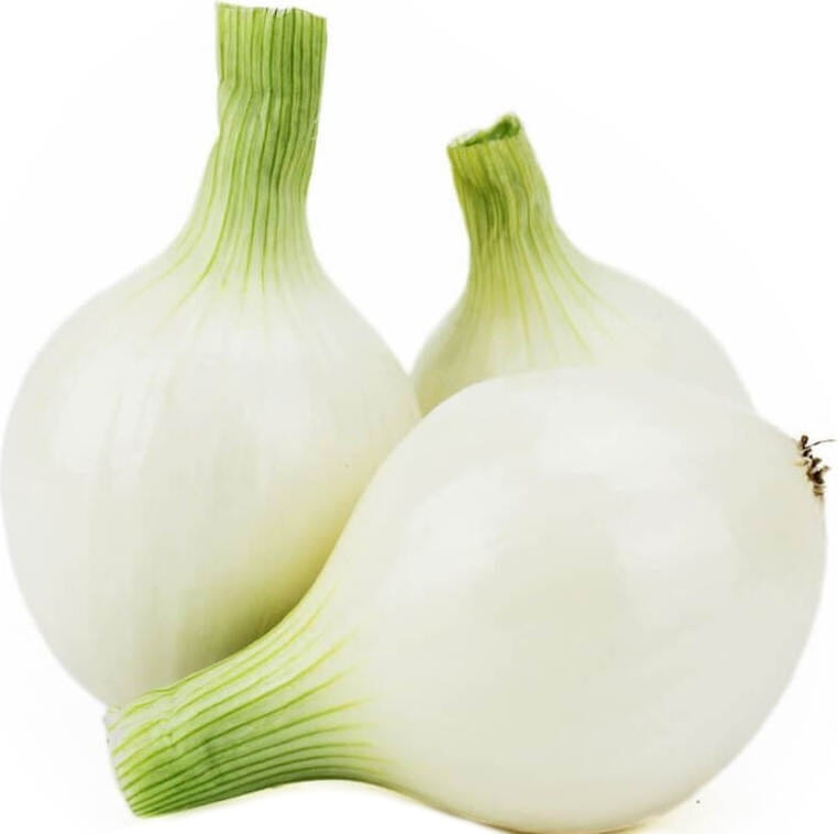 Conditionnement vrac (kg) - oignon blanc frais BIO (polonais) (environ 5 kg)