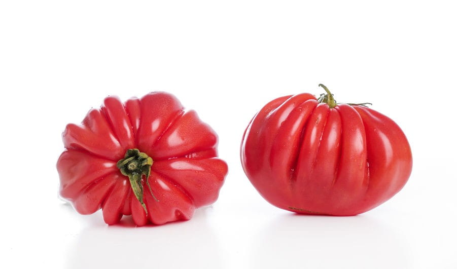 Tomates fraîches rebelion BIO (environ 0,50 kg)