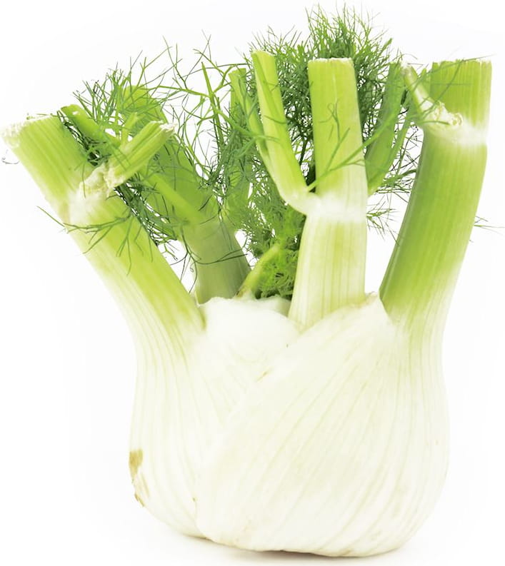 Fenouil frais (fenouil) BIO (environ 0,50 kg)