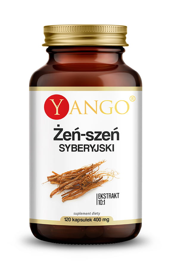 Extrait de Ginseng de Sibérie 10 : 1 120 gélules YANGO