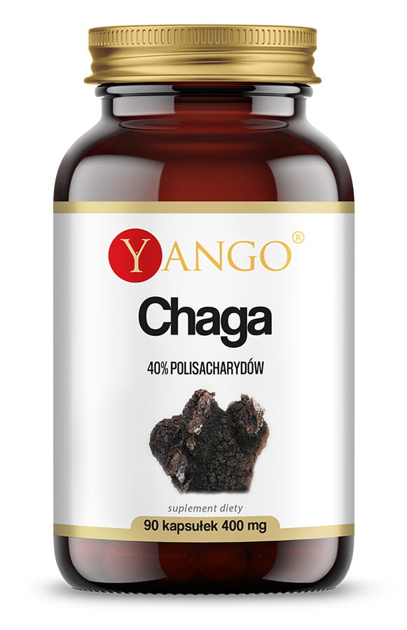 Extrait de Chaga 40% polysaccharides 90 gélules YANGO