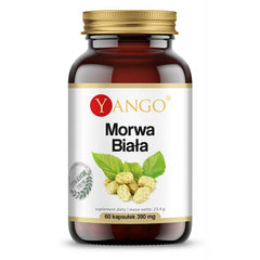 Mûrier blanc 60 gélules YANGO